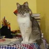 Отзыв от Анастасия Калмыкова